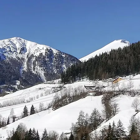 Le Nid Alpin - V491 *